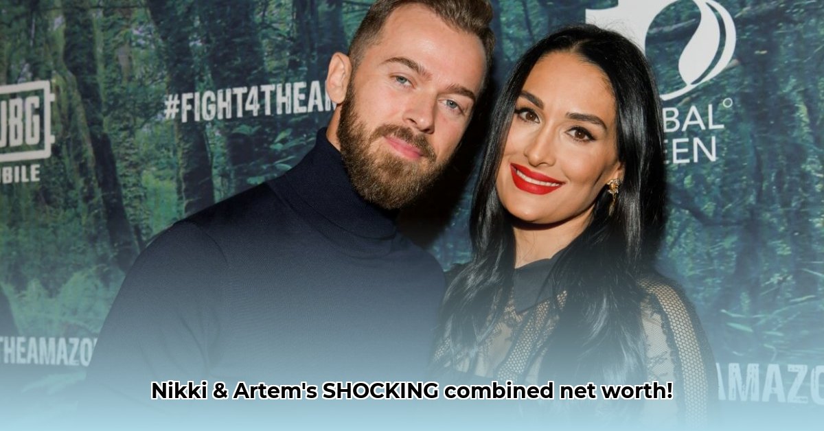 nikki-bella-and-artem-chigvintsev-net-worth